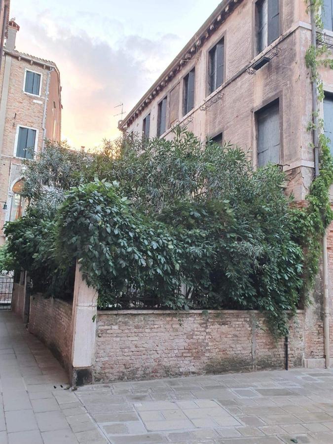 Residenza Oleandro Rosa Veneza